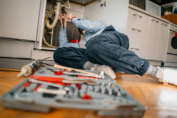  Spring Lake Park, MN Plumbing Pros
