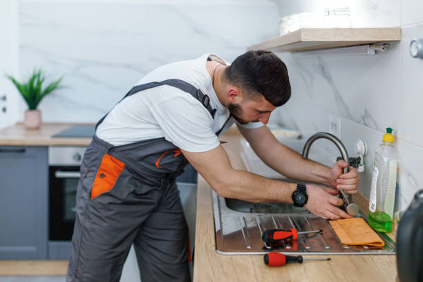 Best Faucet Repair  in Spring Lake Park, MN