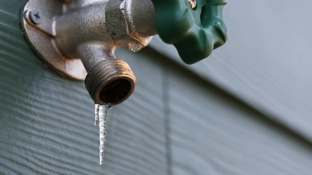 Best Commercial Plumbing Services  in Spring Lake Park, MN