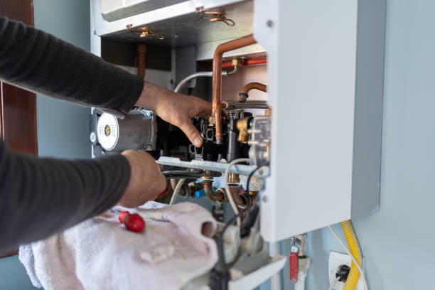 Best Plumbing Services Near Me  in Spring Lake Park, MN